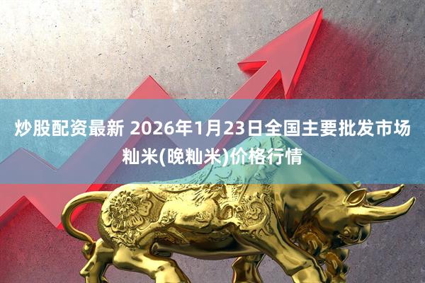 炒股配资最新 2026年1月23日全国主要批发市场籼米(晚籼米)价格行情