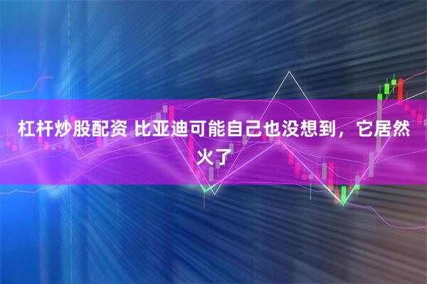 杠杆炒股配资 比亚迪可能自己也没想到，它居然火了